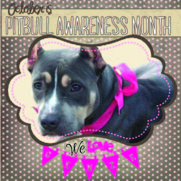 The Scoop: National Pit Bull Awareness Month