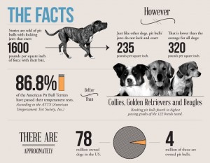 October is National Pit Bull Awareness Month! – V-dog