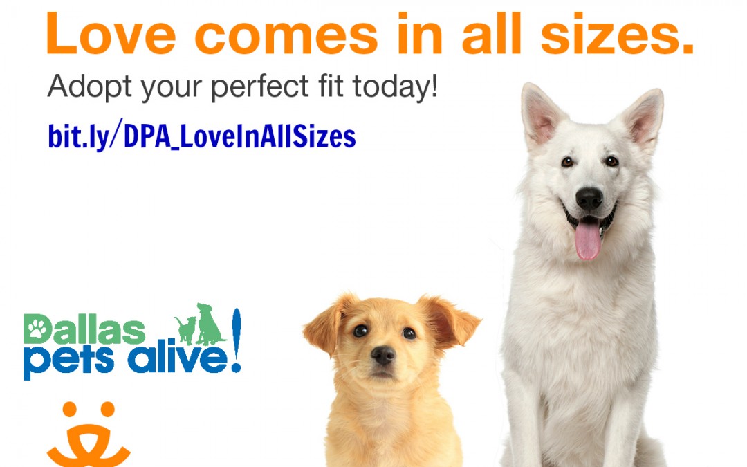 March special: Love Comes In ALL Sizes!