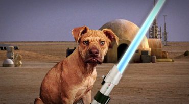 Jakku