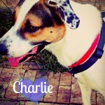 Charlie