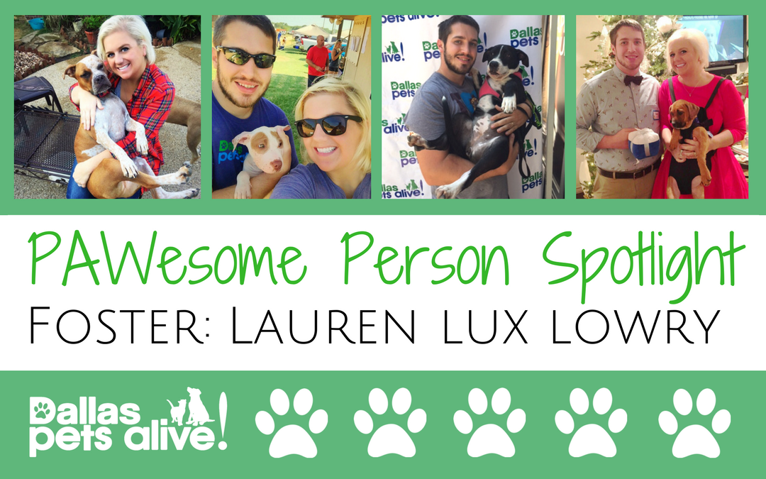 DPA’s Pawesome Person: March Foster Spotlight