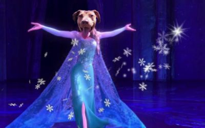 Ruff Life: Elsa is Ready to ‘Let Go’ of Her Past