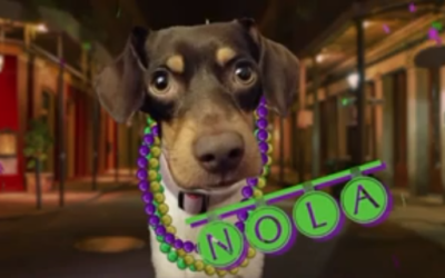 Ruff Life: Now NOLA can let the good times roll!
