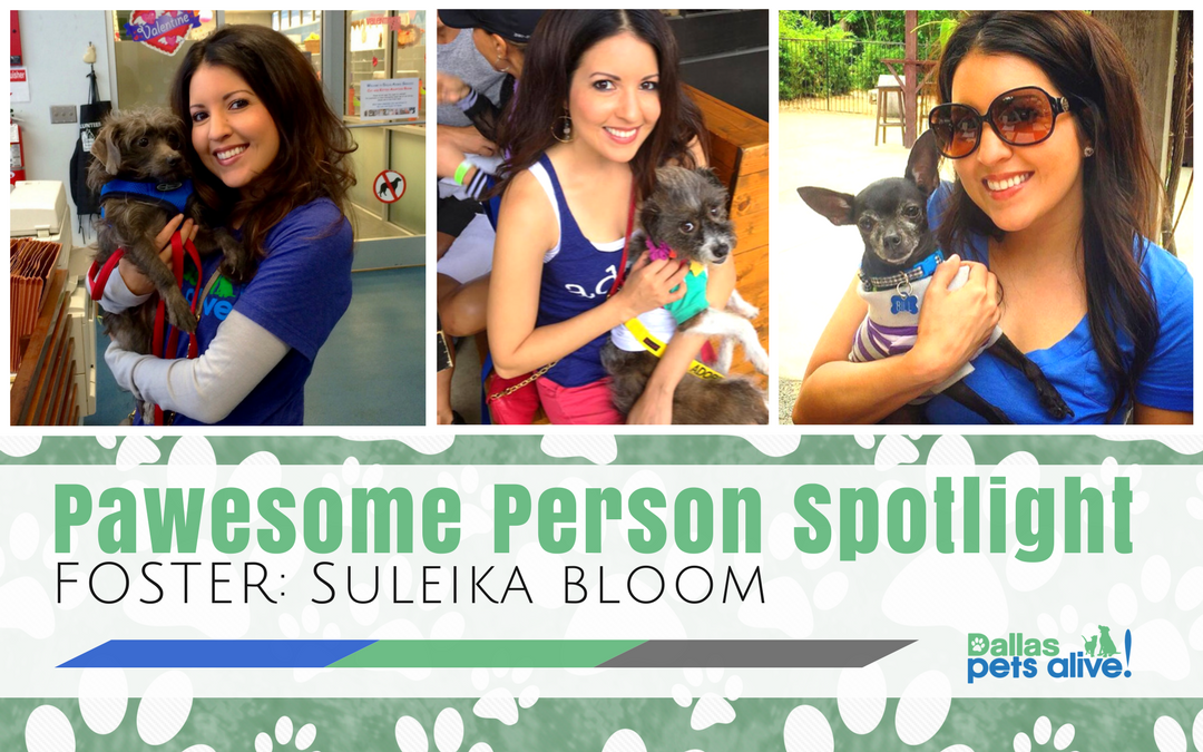 DPA’s Pawesome Person: June Foster Spotlight