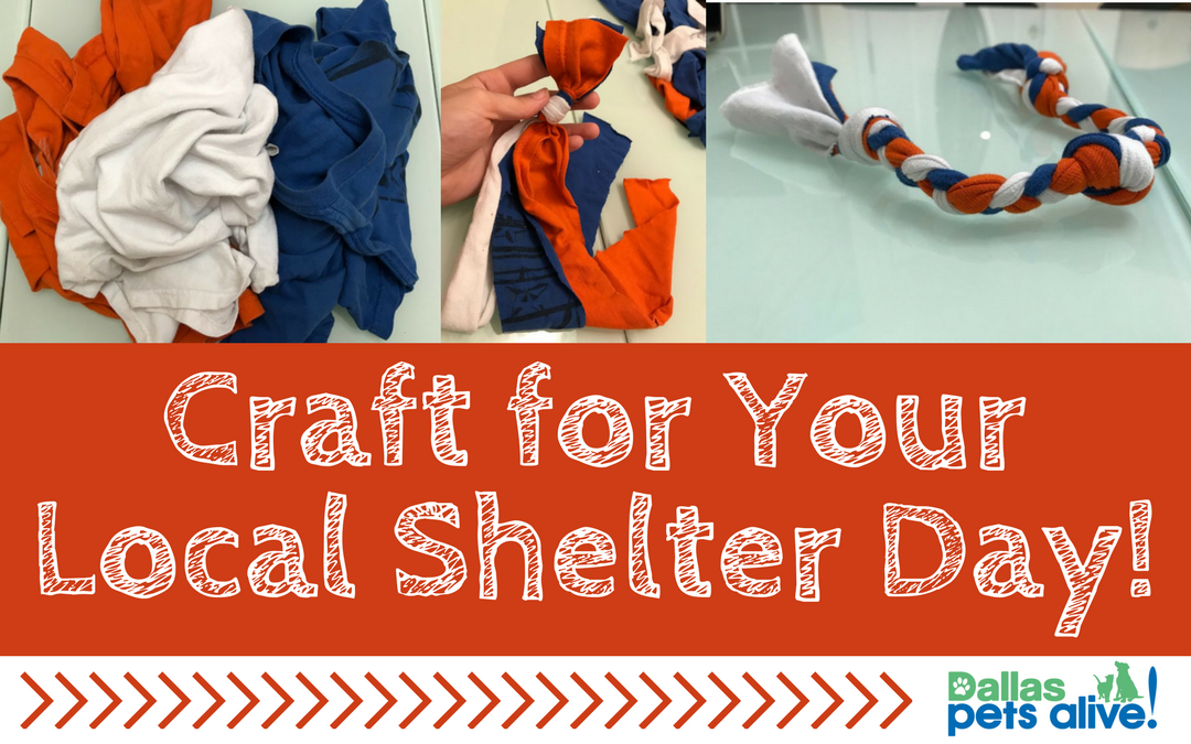 Craft for Your Local Shelter Day! | Eco-Friendly Tug Toys