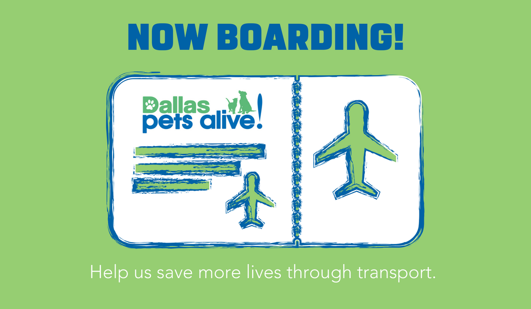 NOW BOARDING: Dallas Pets Alive! Transport Fundraiser