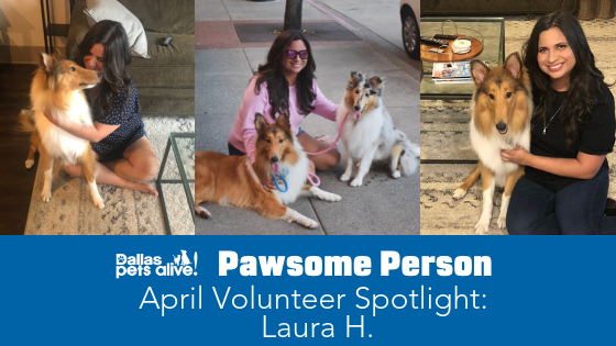 DPA’s Pawsome People: April 2019 Volunteer Spotlight