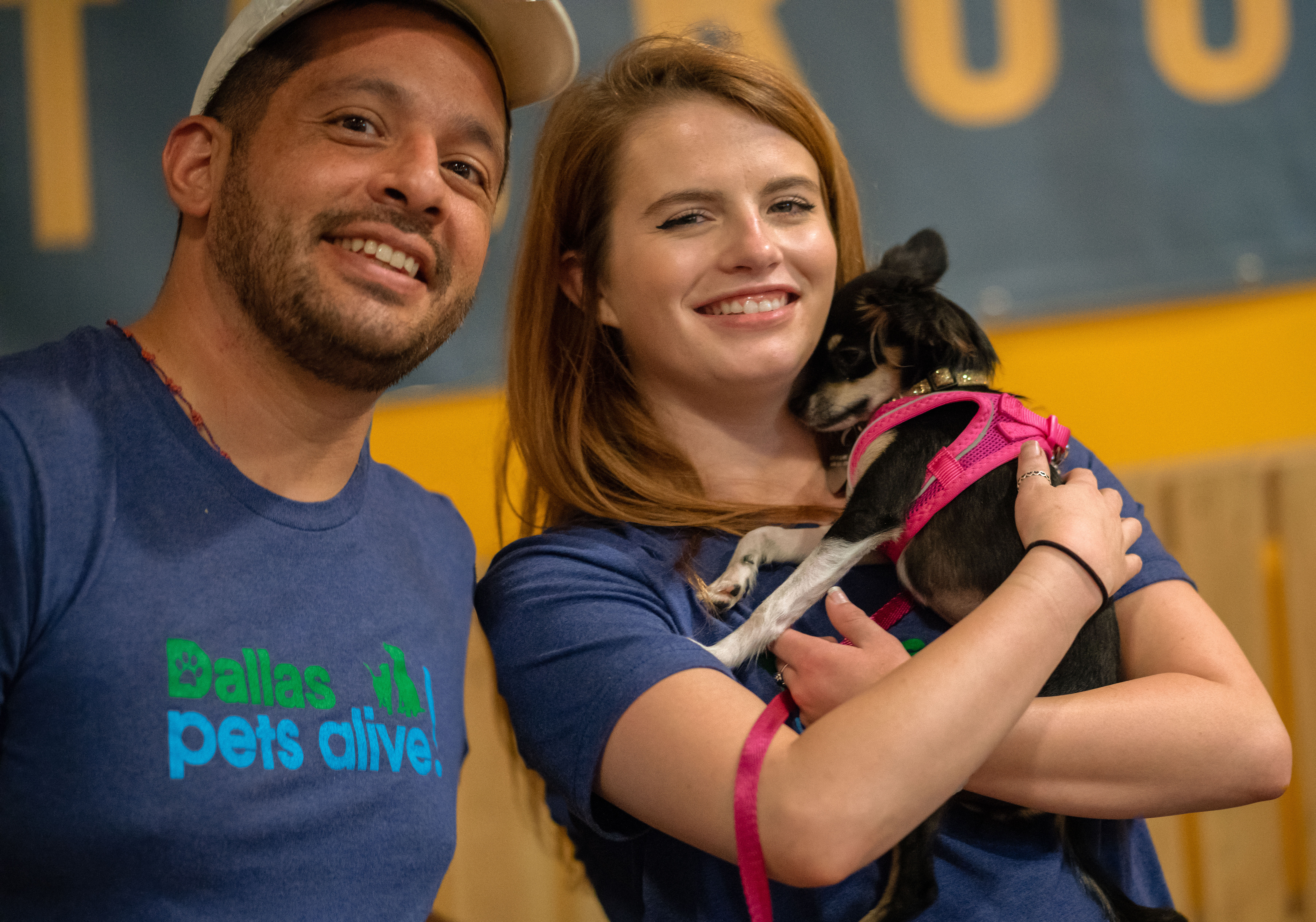 volunteer with dallas pets alive