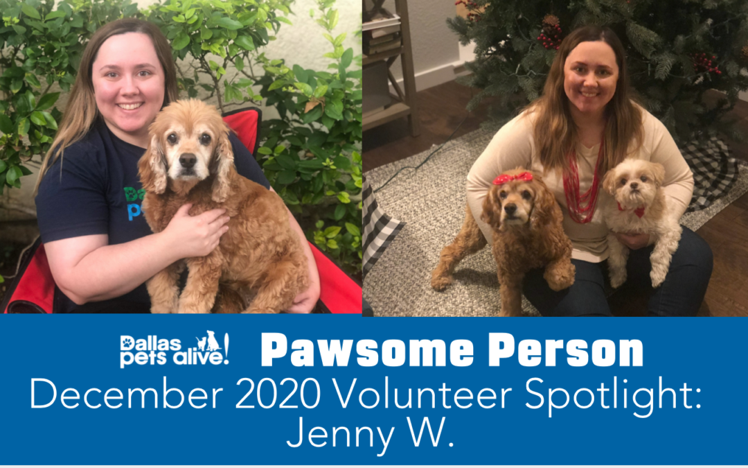 DPA’s Pawsome People: December 2020 Volunteer Spotlight