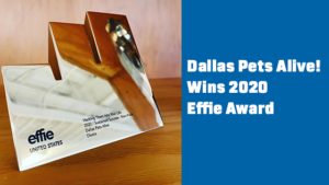 Dallas Pets Alive! Wins 2020 Effie Marketing Award