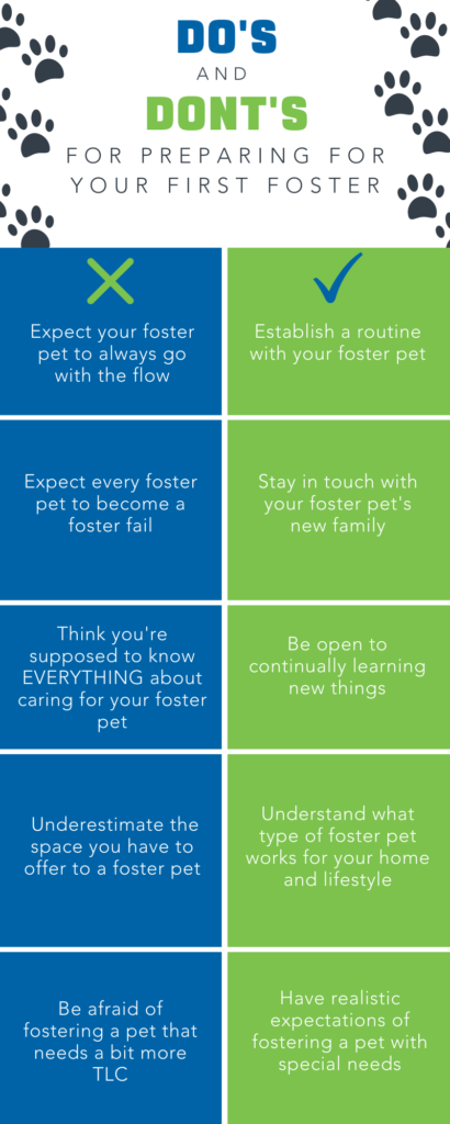 Infographic based on blog post about the do's and dont's for preparing for your first foster pet