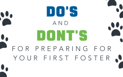 10 Do’s and Don’ts When Preparing For Your First Foster Pet