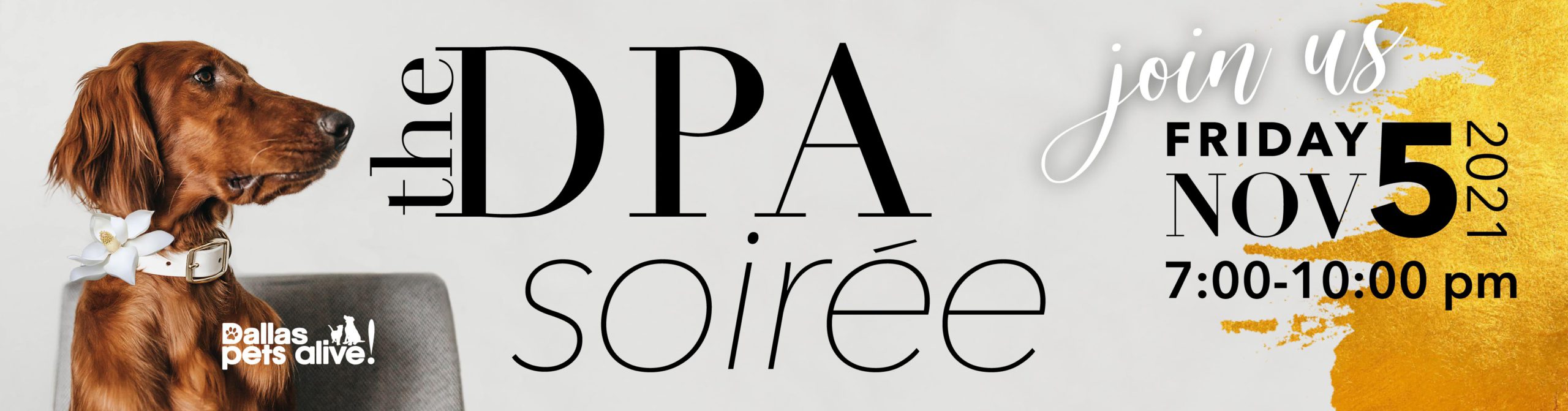DPA Soiree email banner 2-02