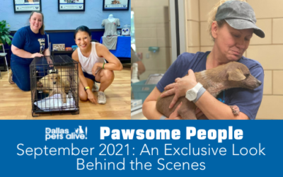 DPA’s Pawsome People: September 2021 Volunteer Spotlight