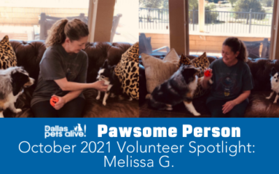DPA’s Pawsome People: October 2021 Volunteer Spotlight