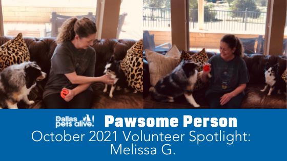 DPA’s Pawsome People: October 2021 Volunteer Spotlight