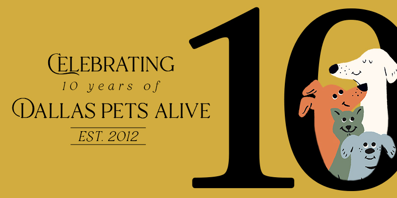 10 year logo
