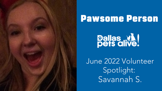 DPA’s Pawsome People: June 2022 Volunteer Spotlight