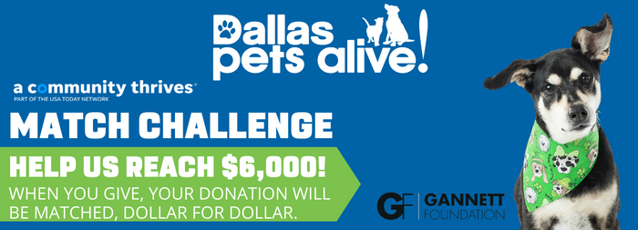 PLEASE HELP US EARN GRANTS TO KEEP PETS WITH THEIR FAMILIES!