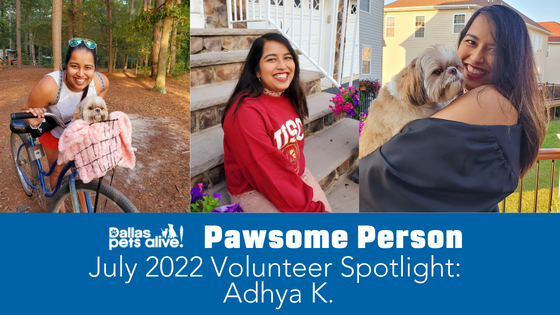 DPA’s Pawsome People: July 2022 Volunteer Spotlight