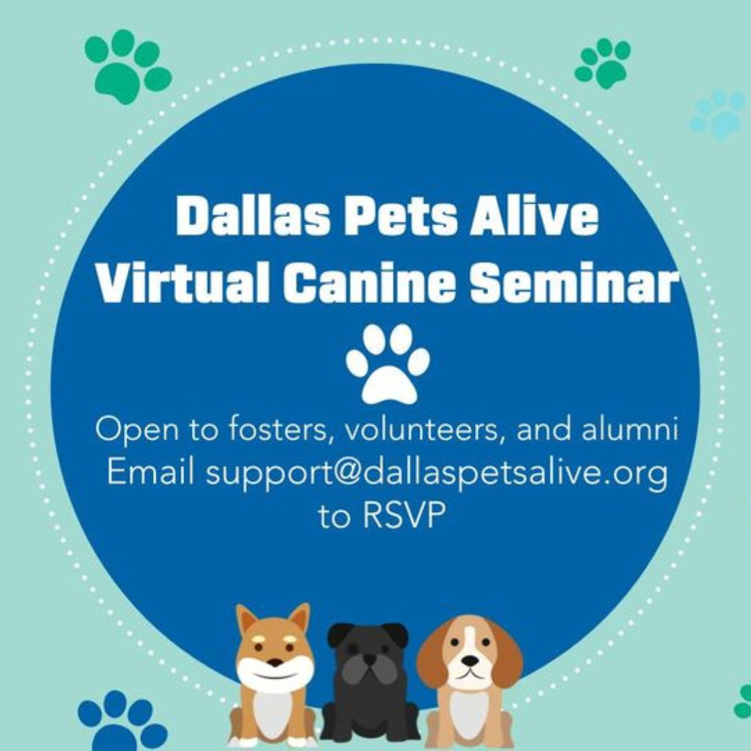 Virtual Canine Seminar