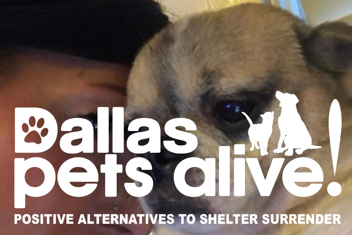 San Antonio Pets Alive