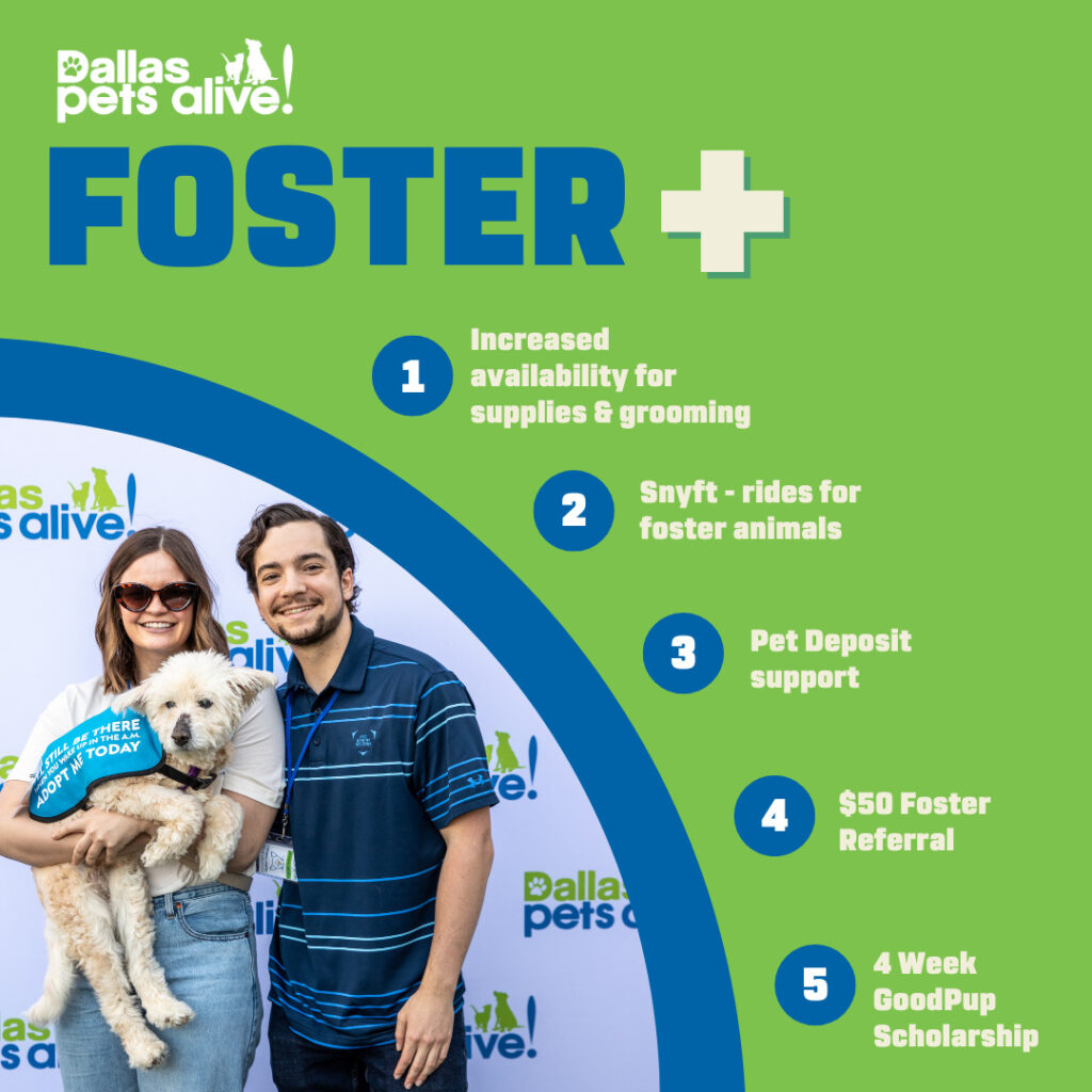 Expanding Foster Program: Introducing Foster+