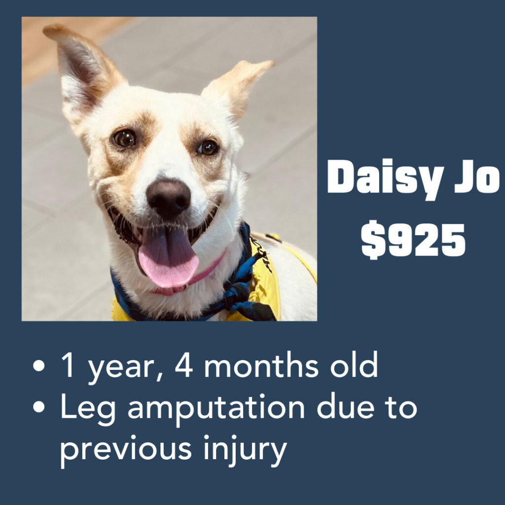 Daisy Jo Medical