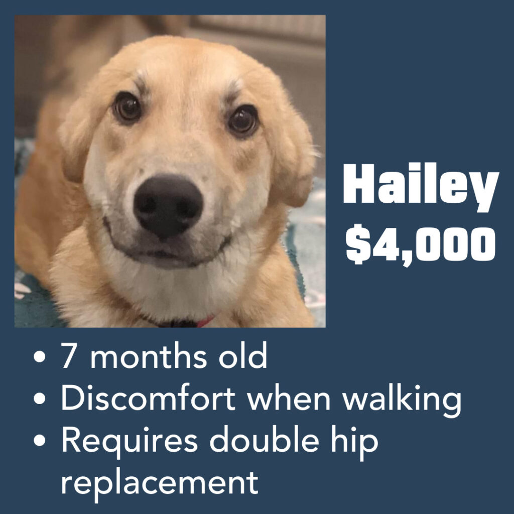 Hailey Medical