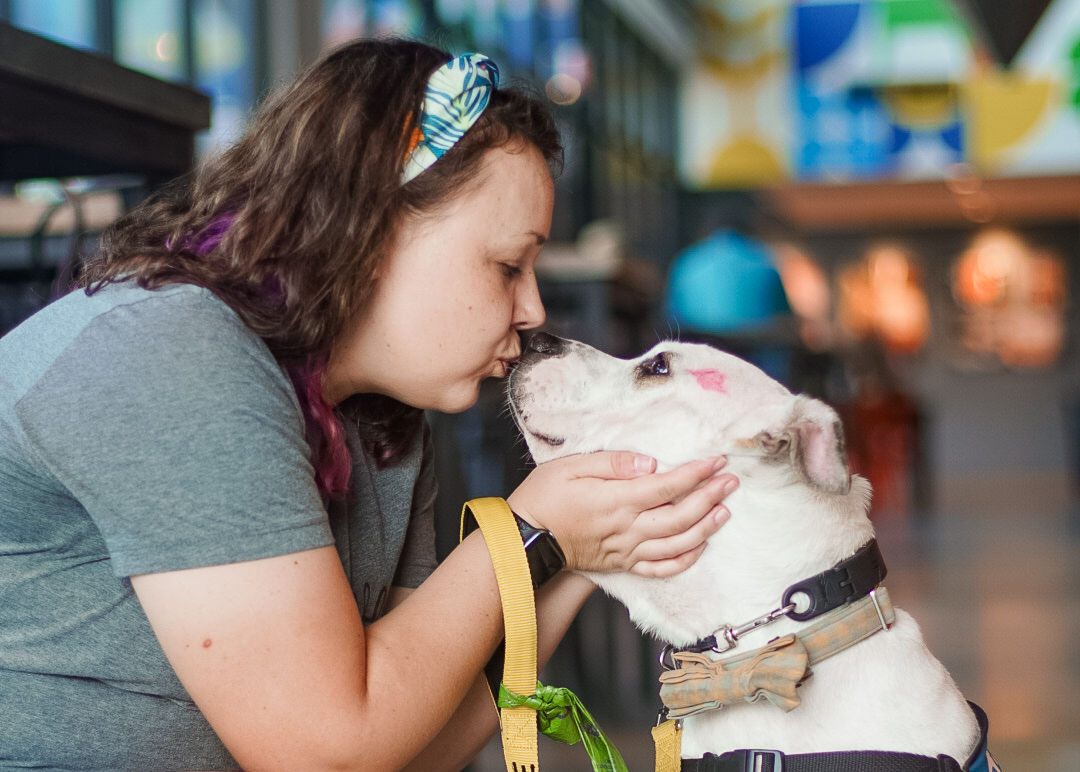 donate Dallas Pets Alive Adoption Container