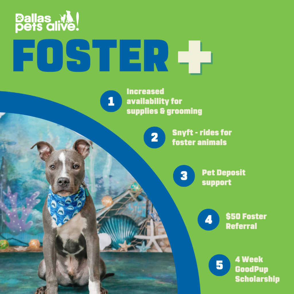 Foster